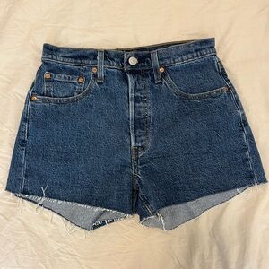 Denim Cutoff Shorts
